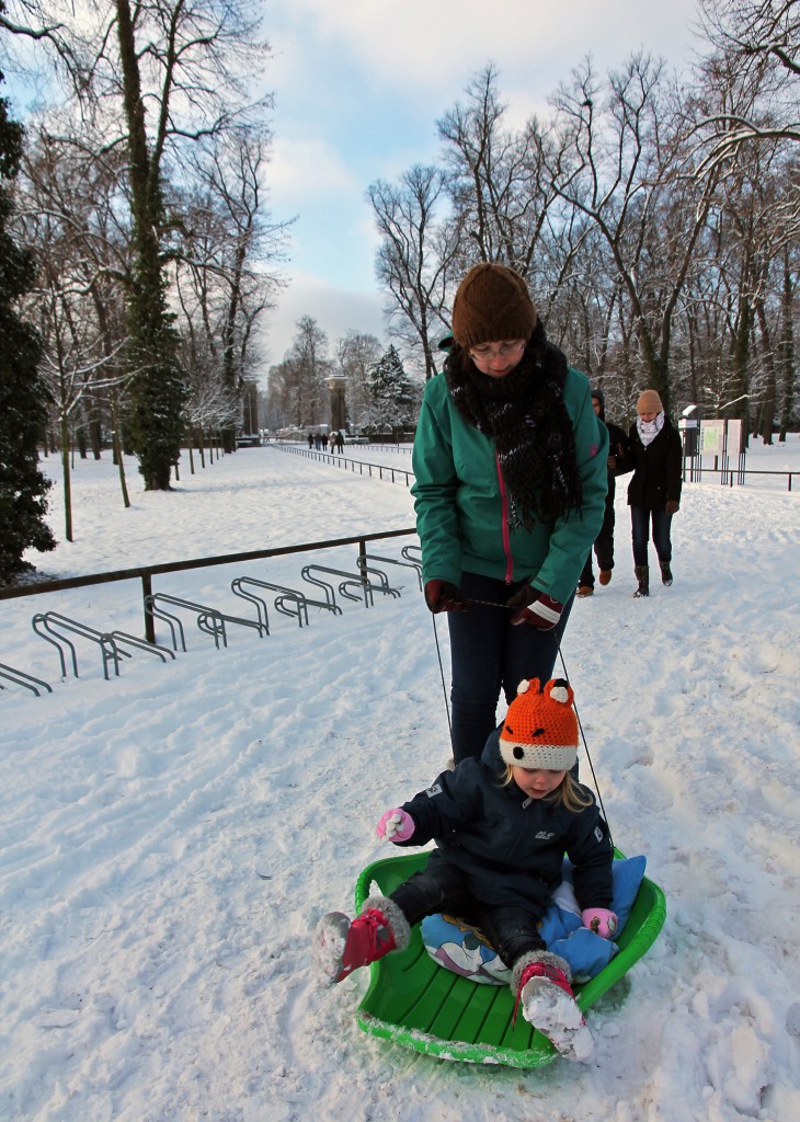 Sleighing into the park…