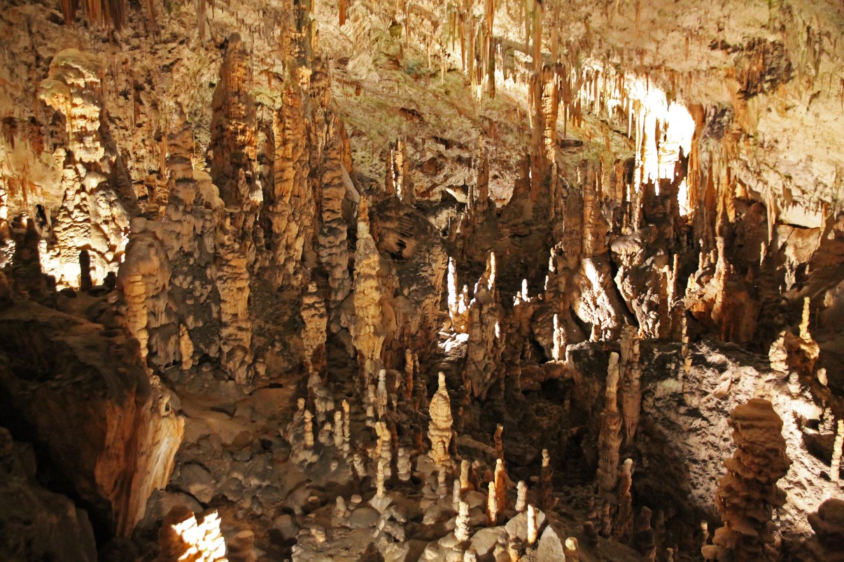A multitude of stalagmites.