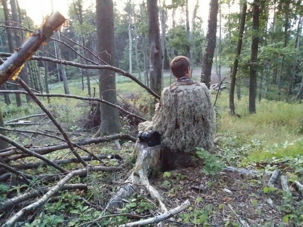 Maarten, trying to spot bears from the ground.