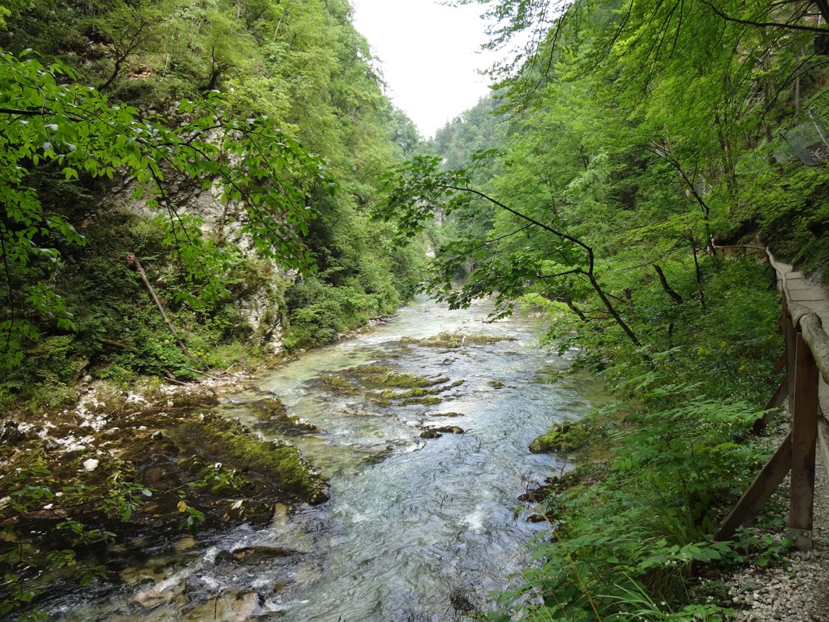 The Radovna River.
