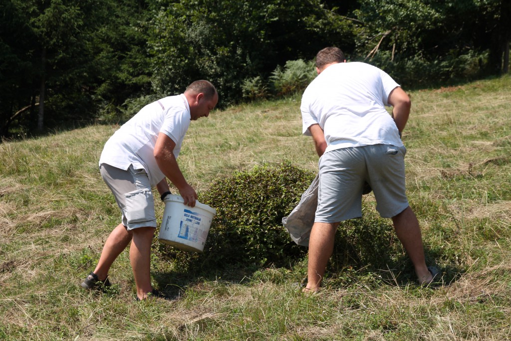 Food for the bears.