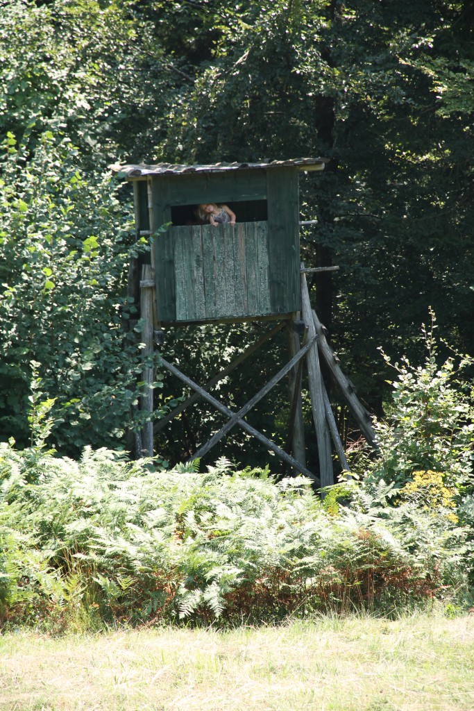 Second observation hut. 