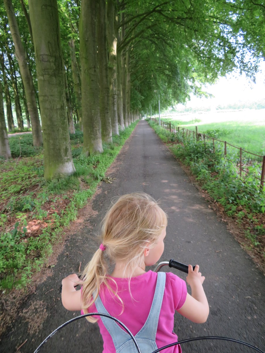 Biking through Gelderland...