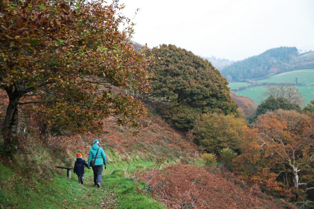 A family walk.