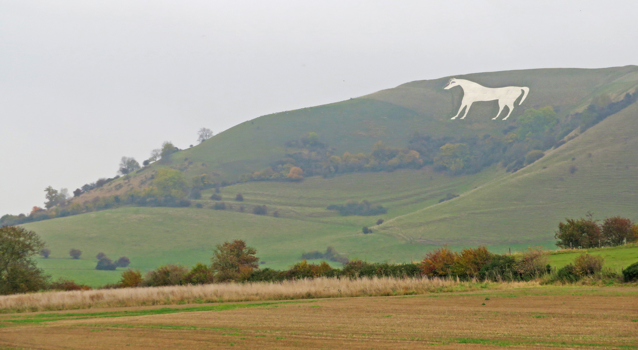 Westbury White Horse.