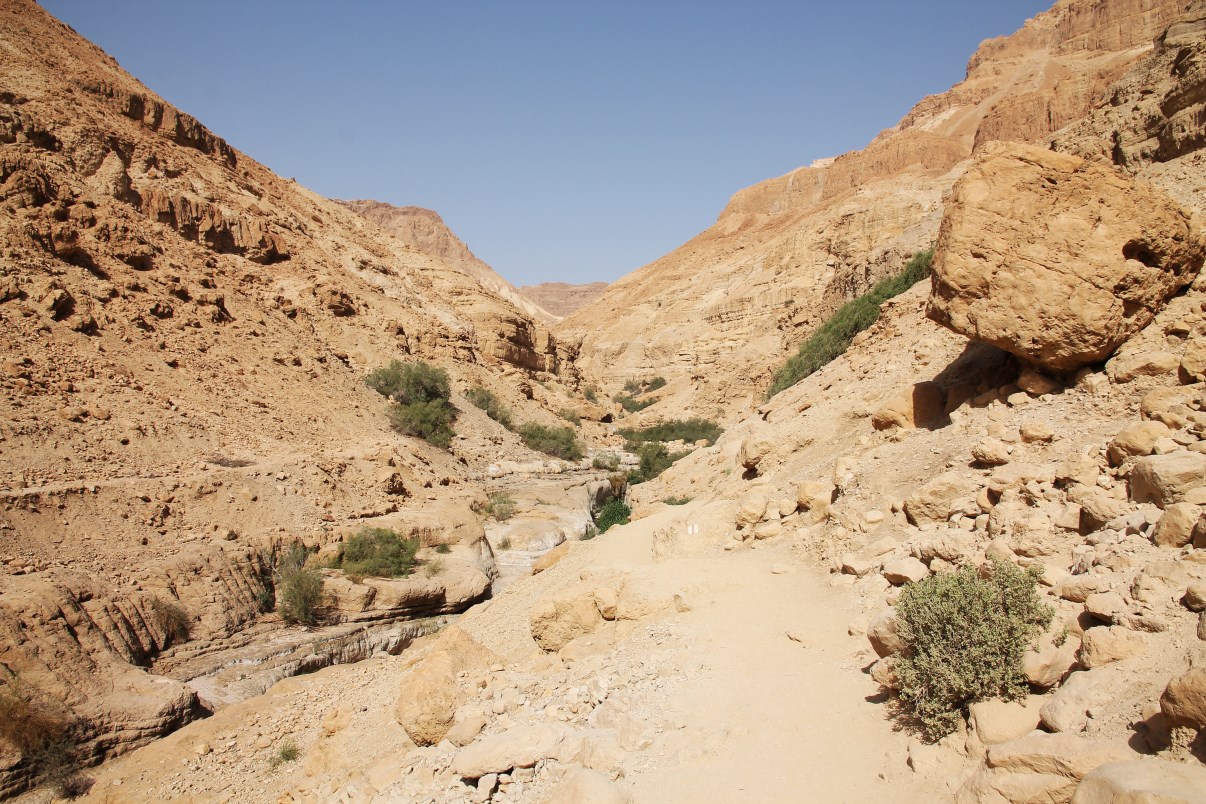 The arid landscape of Ein Gedi.