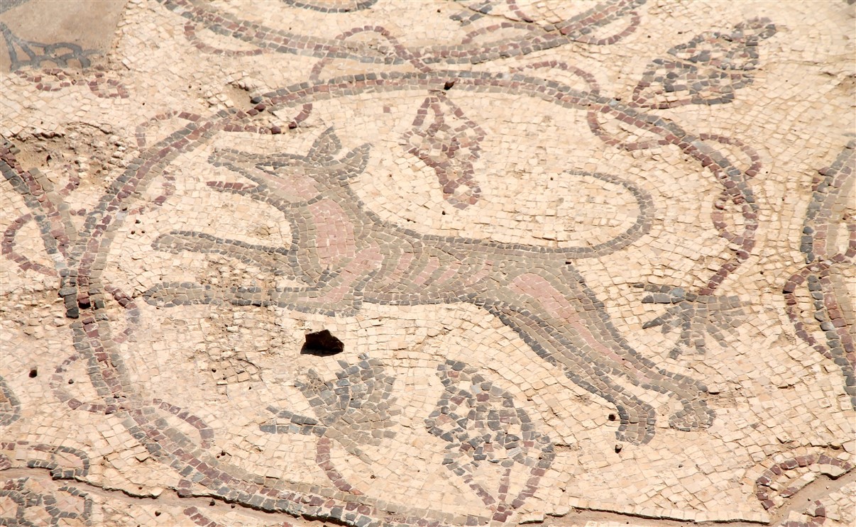 Detail of a mosaic, featuring a dog.