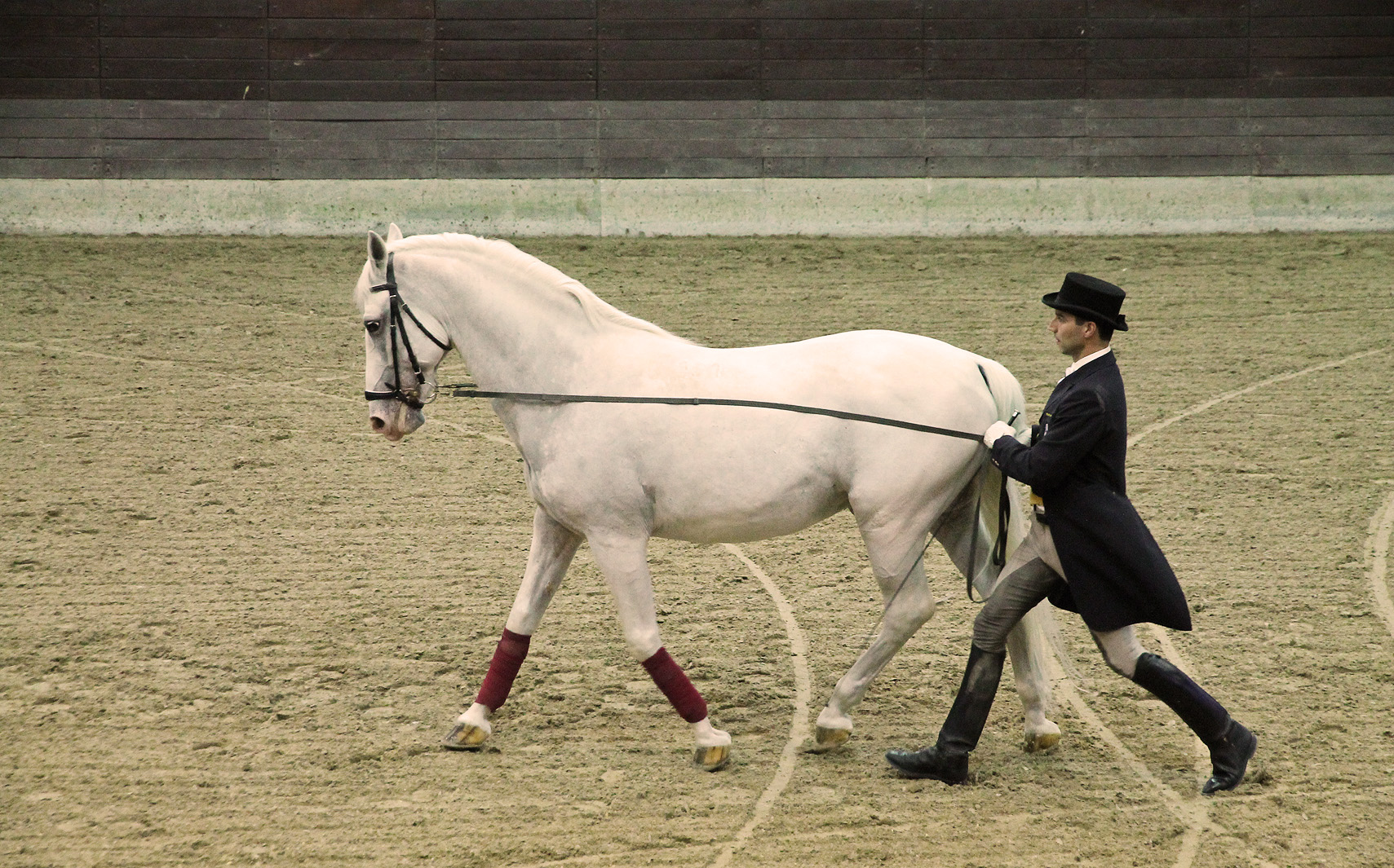 Where Lipizzaners come from… – Our world heritage