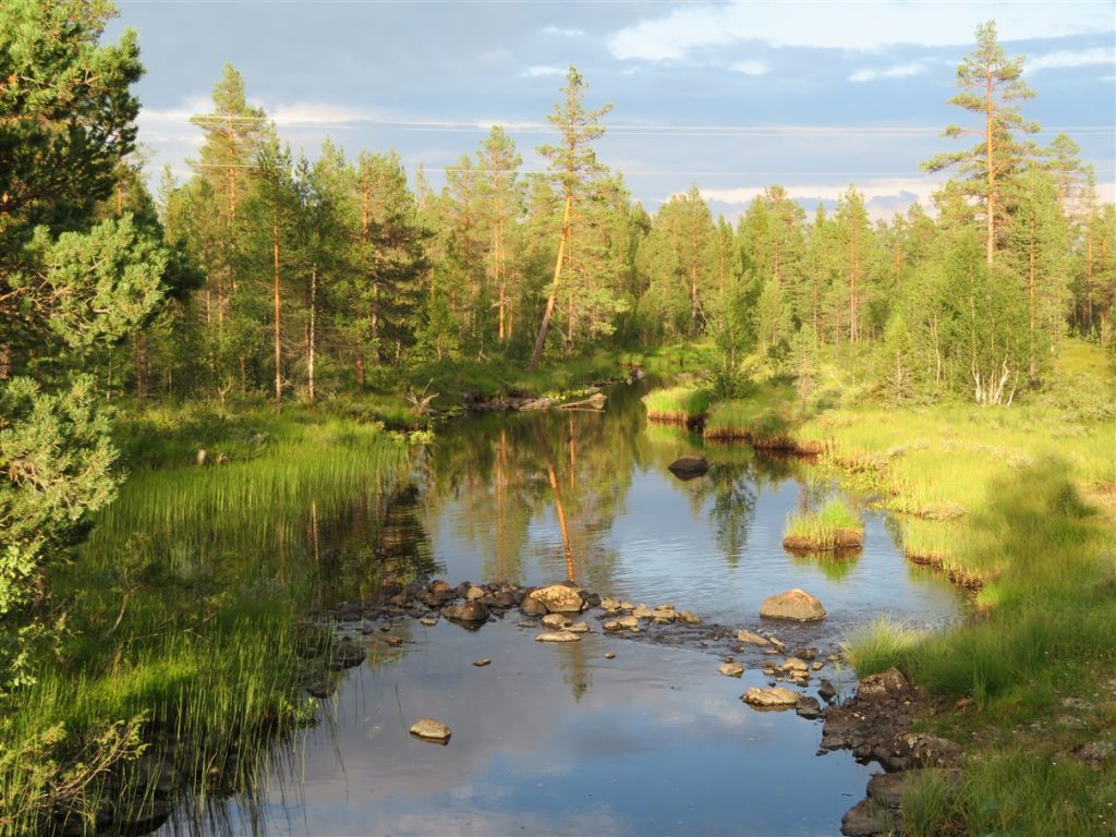 Things to do in Sonfjället with your kids… – Our world heritage